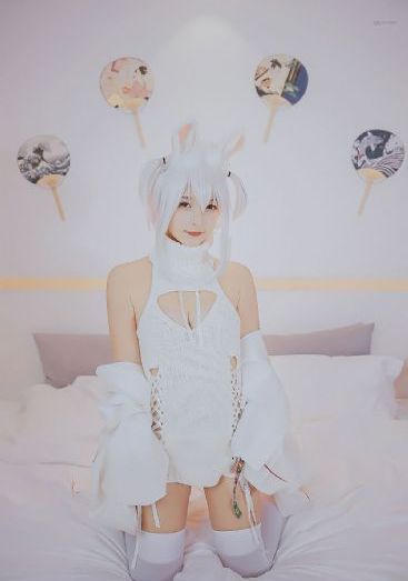 不可抗力电视剧第一季免费观看_超清视频大全
