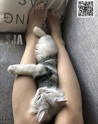 姐弟伦理_1080在线播放